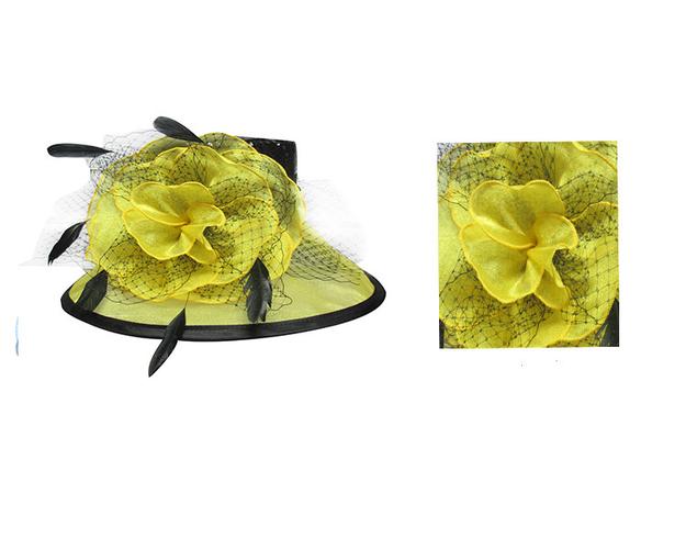 服裝鞋帽箱包,鐘表眼鏡 服飾 帽子 帽子批發(fā) 帽子工廠 歐美風(fēng)柯根紗面