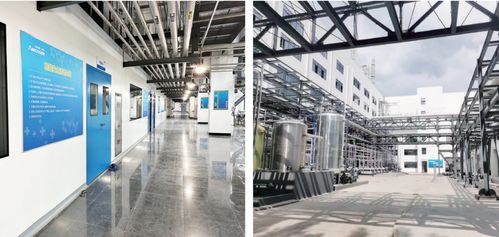 全市上半年綠色低碳高質(zhì)量發(fā)展暨招商引資重點(diǎn)項(xiàng)目現(xiàn)場(chǎng)觀摩綜述 三