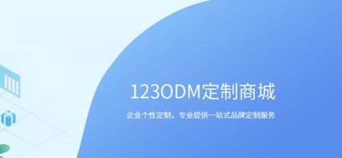 123odm定制商城 互聯網 產品品牌定制 b2b跨境電商平臺 羅馬仕